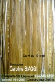 Affiche Jardins d'eau, jardins d'encre - Exposition 