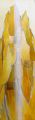 Vitrail de la Transfiguration - 