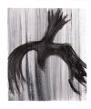 Corbeau - EDEN et DELUGE MONOTYPES