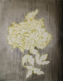 De CENDRE - JARDIN BLANC 1