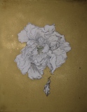 D'IVOIRE et d'OR - JARDIN BLANC 1