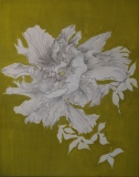 D'ECUME - JARDIN BLANC 1