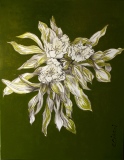 EXULTATION - JARDIN BLANC 1