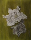 En MIROIR - JARDIN BLANC 1