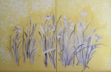 LES SABRES - JARDIN BLANC 1