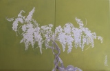 Le VOILE de la MARIEE - JARDIN BLANC 1