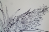 BOTANICA IV - JARDIN BLANC ( suite)