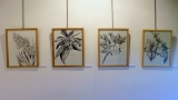 BOTANICA - JARDIN BLANC ( suite)