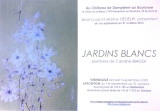 JARDIN BLANC au CHATEAU DE DAMPIERRE CARTON MAIL - JARDIN BLANC ( suite)