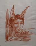 MIDAS - METAMORPHOSES dessins sur papier