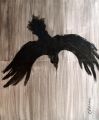 CORBEAU - DE L'EDEN AU DELUGE