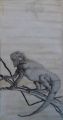 IGUANE - BESTIAIRE 1