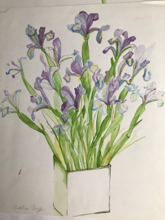 LES IRIS MAUVES - AQUARELLES BOTANIQUES