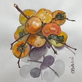 EN APPESANTEUR - AQUARELLES BOTANIQUES