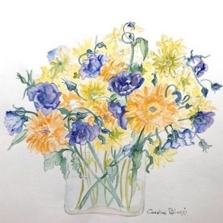 ZINIAS ET DELPHINIUMS - AQUARELLES BOTANIQUES