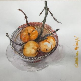 AU NID - AQUARELLES BOTANIQUES