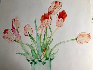 TULIPES - AQUARELLES BOTANIQUES