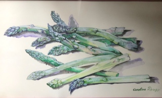 ASPERGES - AQUARELLES BOTANIQUES