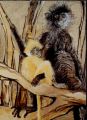 LANGURS - ANIMALIA