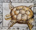 REFLETS - ANIMALIA