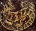 SALAMANDRE - ANIMALIA