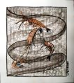 CREVETTES POEME - BESTIAIRE 2