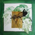 carolinebiaggi - EMPREINTES